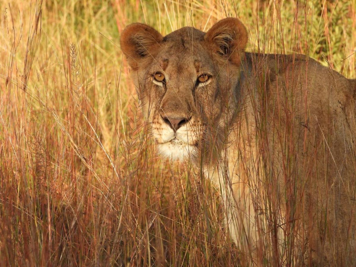 Kwalata Game Lodge Klipdrift エクステリア 写真