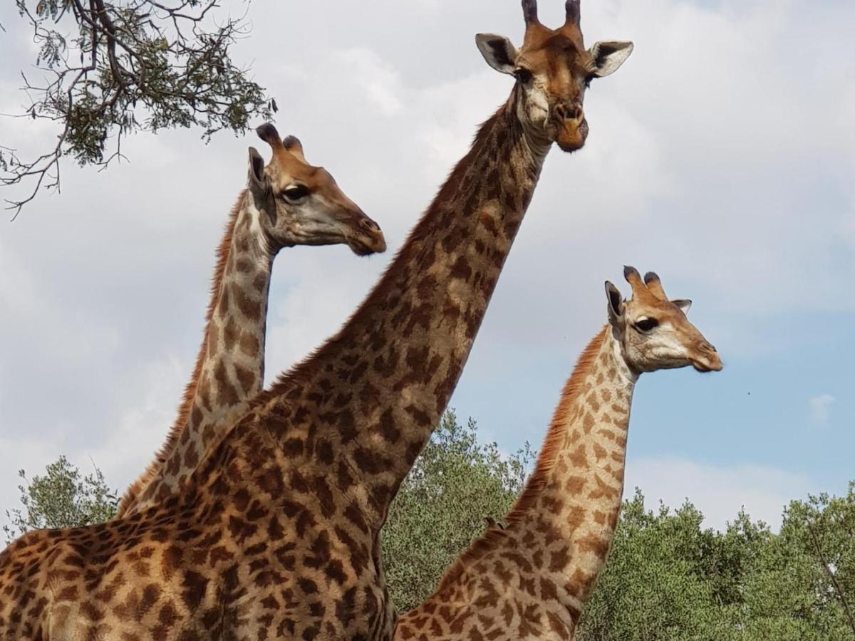 Kwalata Game Lodge Klipdrift エクステリア 写真