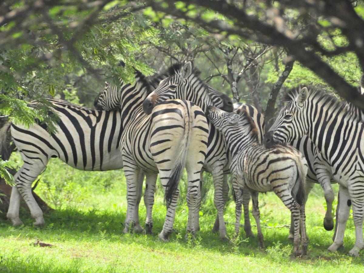 Kwalata Game Lodge Klipdrift エクステリア 写真